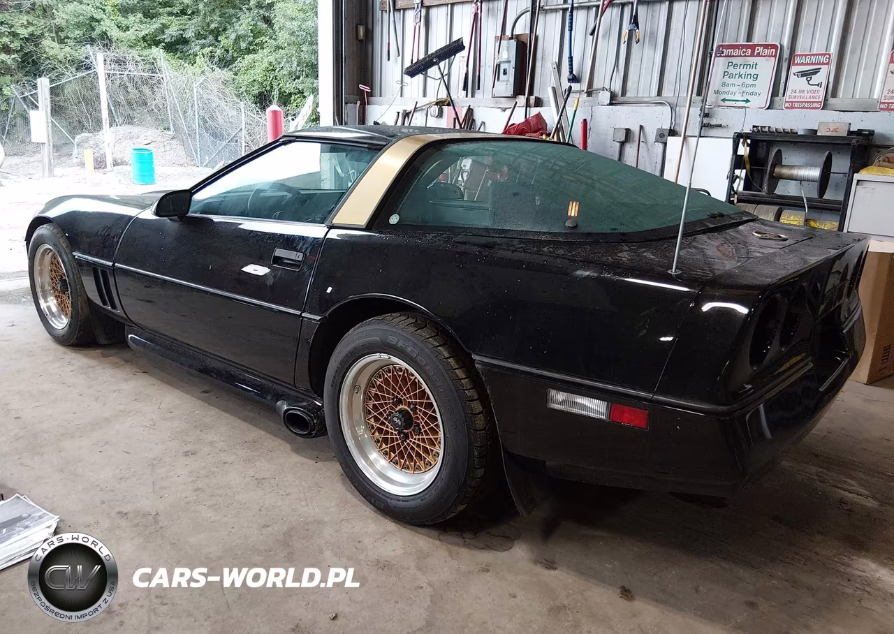1985 Chevrolet Corvette VIN:1G1YY0780F5135006 - 3