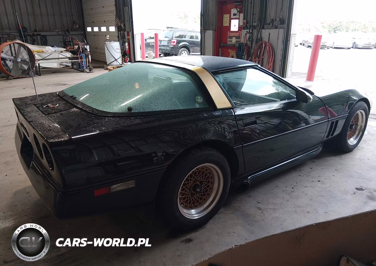 1985 Chevrolet Corvette VIN:1G1YY0780F5135006 - 4