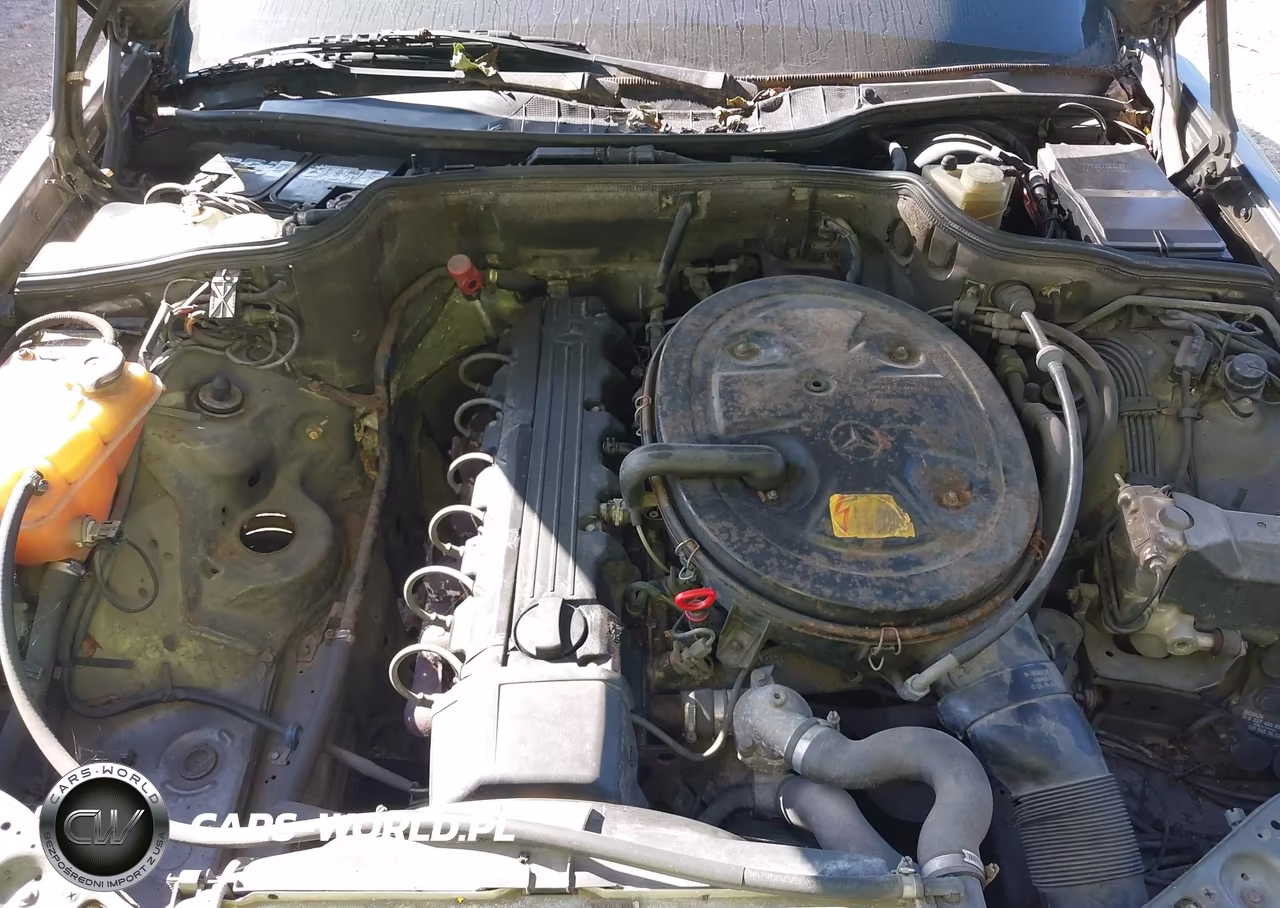 1989 Mercedes-Benz 300 Se VIN:WDBCA24DXKA449538 - 10