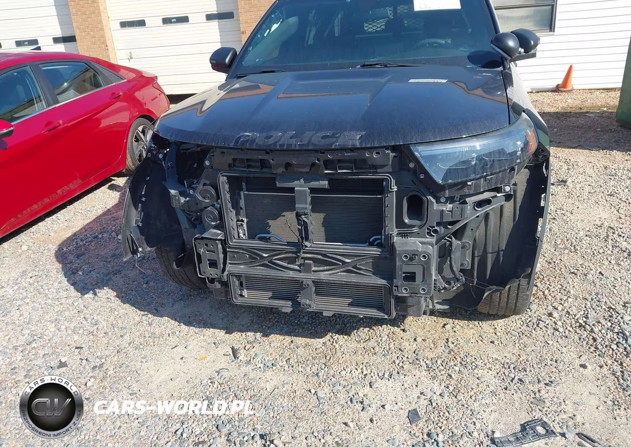2021 Ford Police Interceptor Utility VIN:1FM5K8AB3MGB96667 - 6