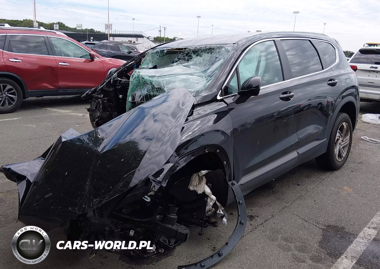 2021 Hyundai Santa Fe Se VIN:5NMS14AJ6MH330820 - 2