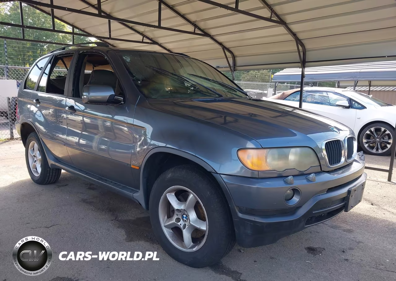 2003 BMW X5 3.0I VIN:5UXFA53513LV99939 - 1
