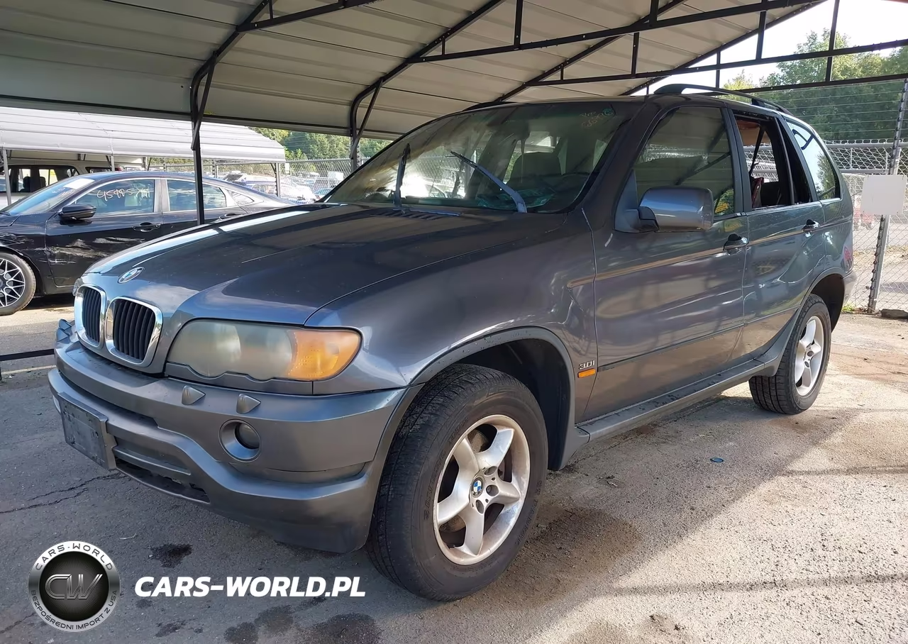 2003 BMW X5 3.0I VIN:5UXFA53513LV99939 - 2