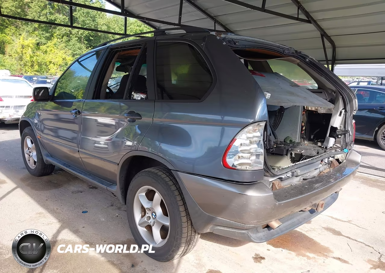 2003 BMW X5 3.0I VIN:5UXFA53513LV99939 - 3