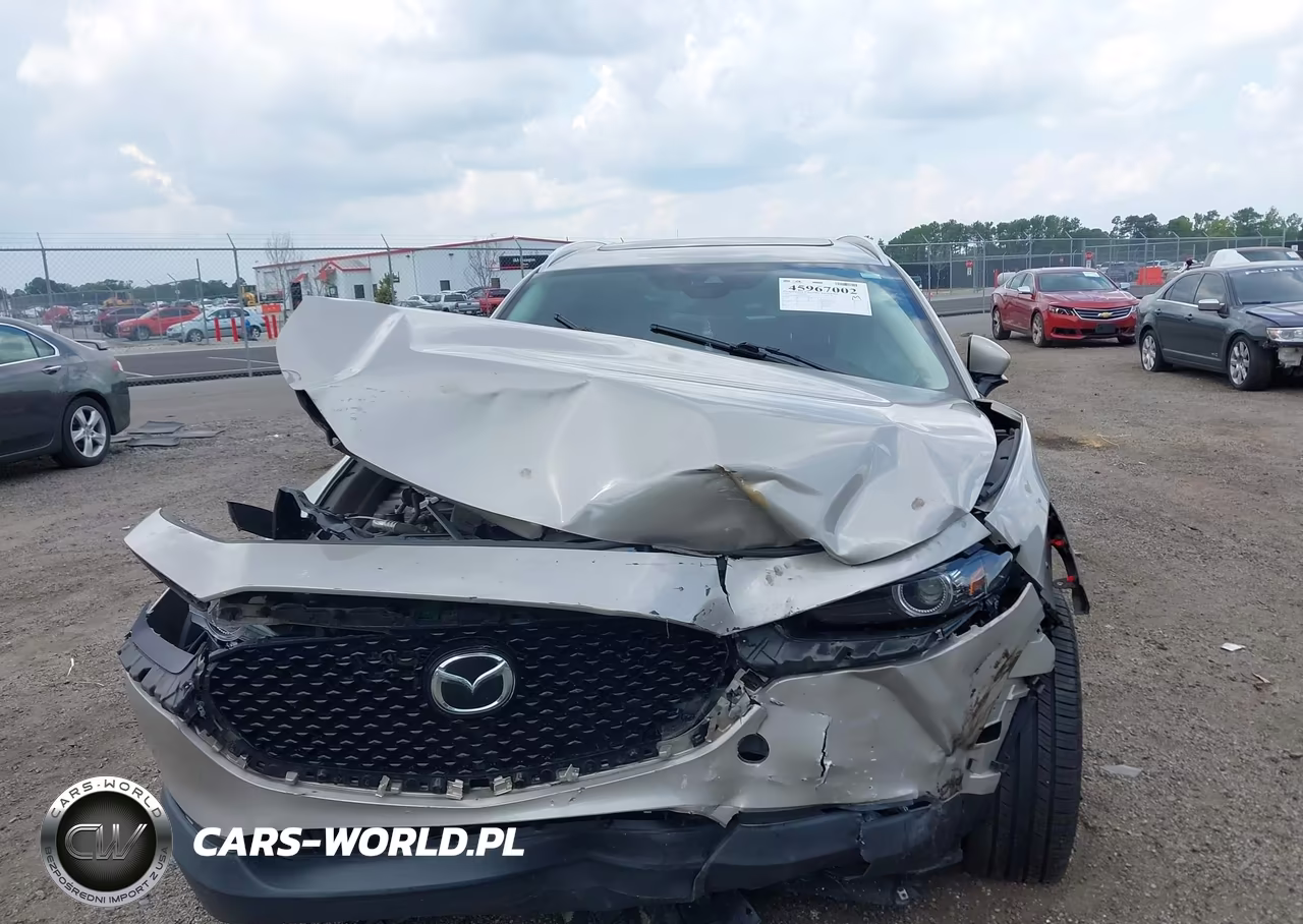 2023 Mazda Cx-30 2.5 S Premium VIN:3MVDMBDM4PM583080 - 12