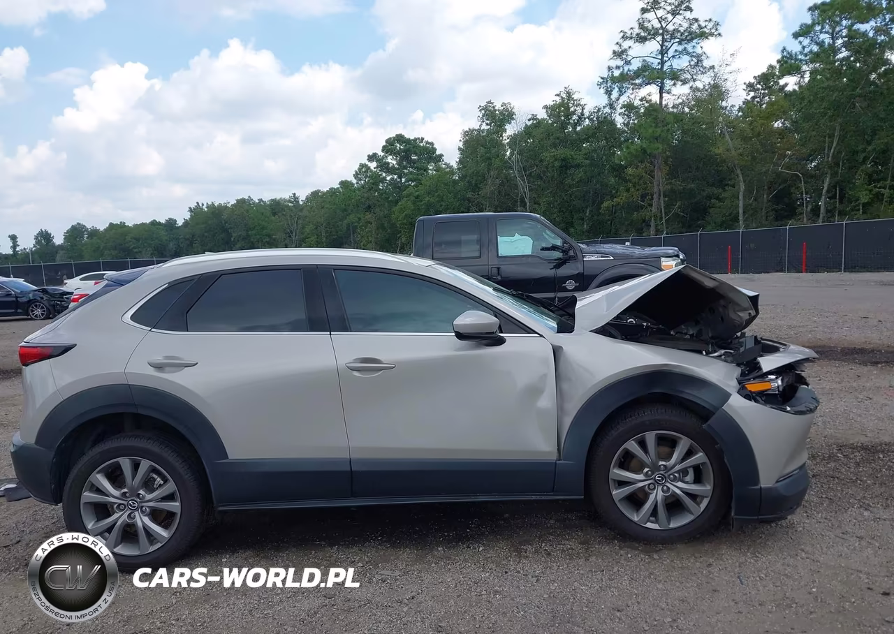 2023 Mazda Cx-30 2.5 S Premium VIN:3MVDMBDM4PM583080 - 13