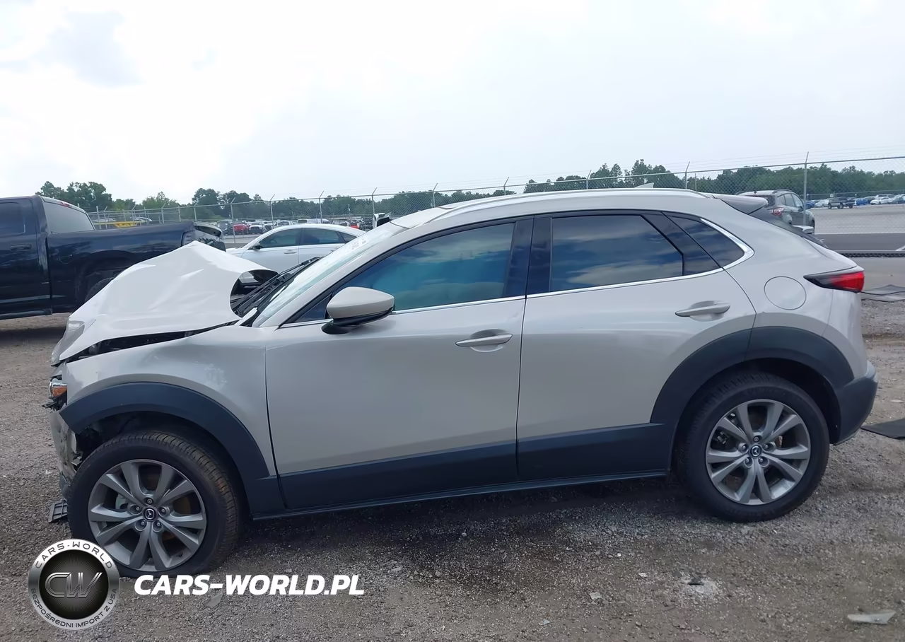 2023 Mazda Cx-30 2.5 S Premium VIN:3MVDMBDM4PM583080 - 14
