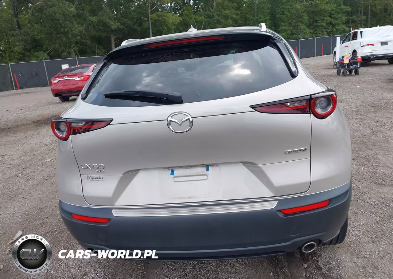 2023 Mazda Cx-30 2.5 S Premium VIN:3MVDMBDM4PM583080 - 16