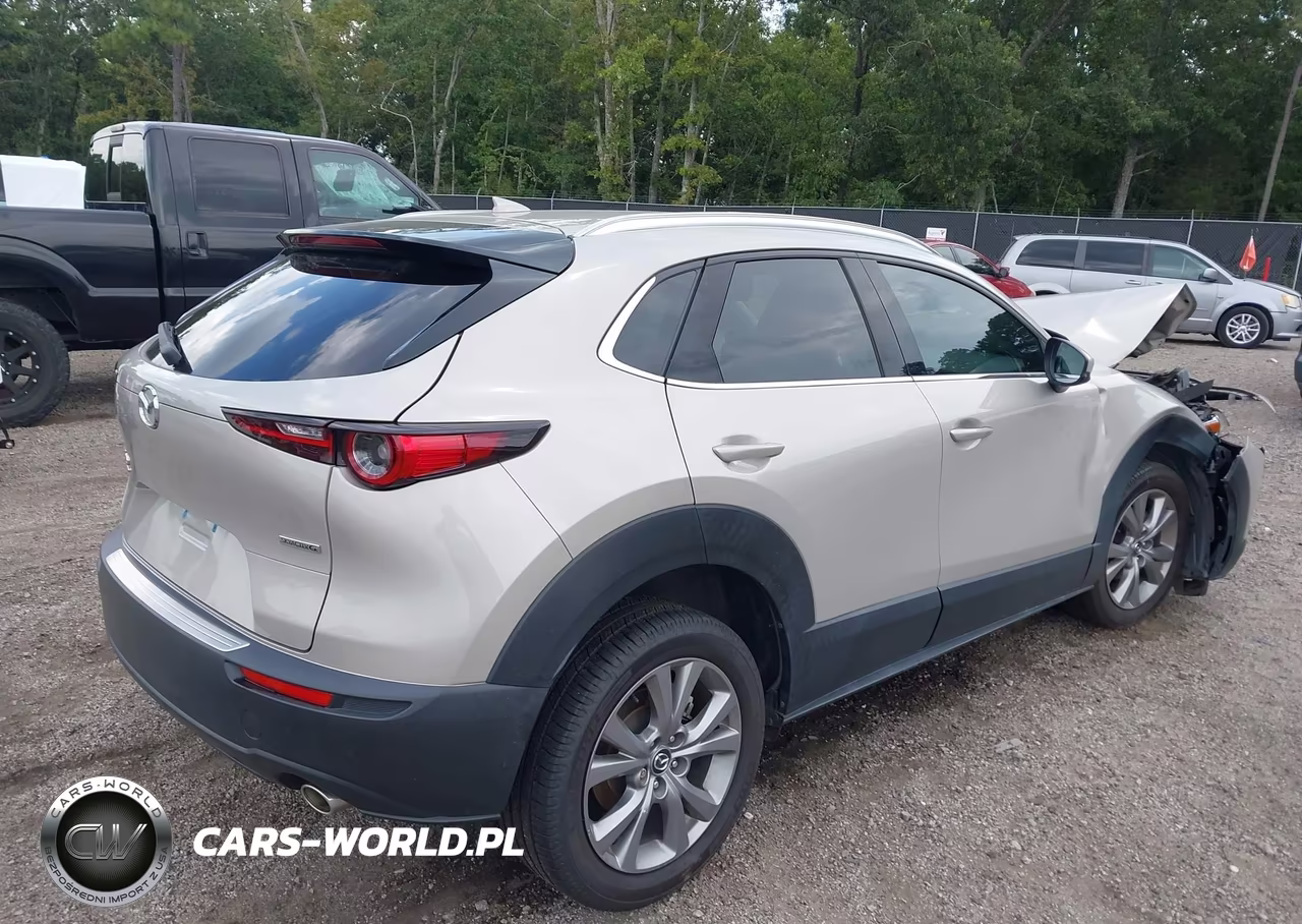2023 Mazda Cx-30 2.5 S Premium VIN:3MVDMBDM4PM583080 - 4
