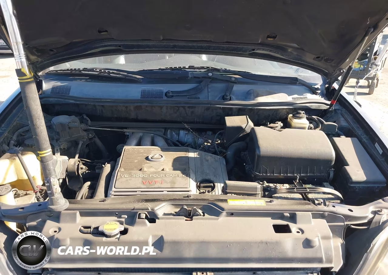 2000 Lexus Rx 300 VIN:JT6GF10U3Y0047886 - 10