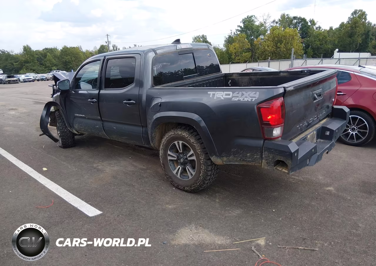 2019 Toyota Tacoma Trd Sport VIN:3TMCZ5AN3KM268261 - 3