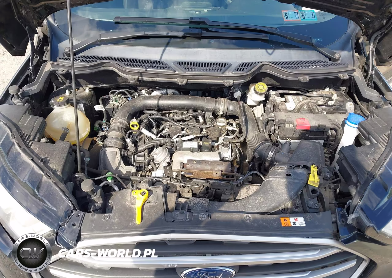 2019 Ford Ecosport Se VIN:MAJ3S2GE6KC285685 - 10