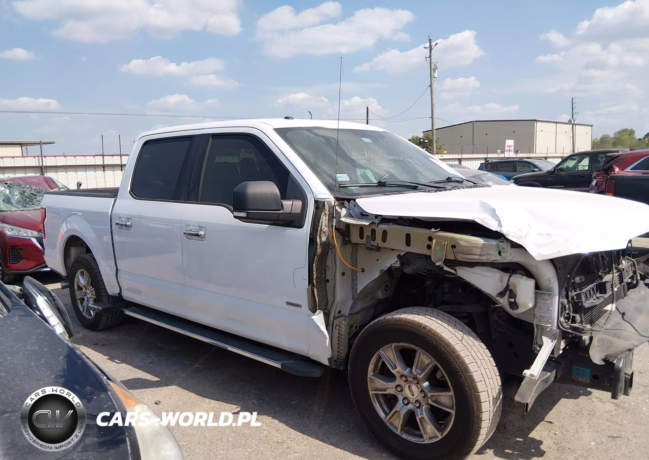 2015 Ford F-150 Xlt VIN:1FTEW1CG8FKE38815 - 13