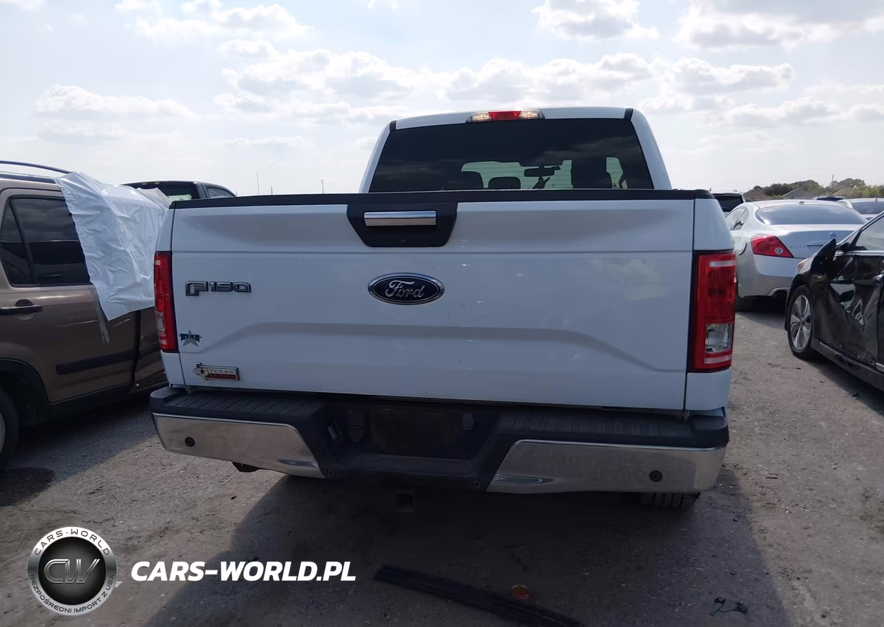 2015 Ford F-150 Xlt VIN:1FTEW1CG8FKE38815 - 16