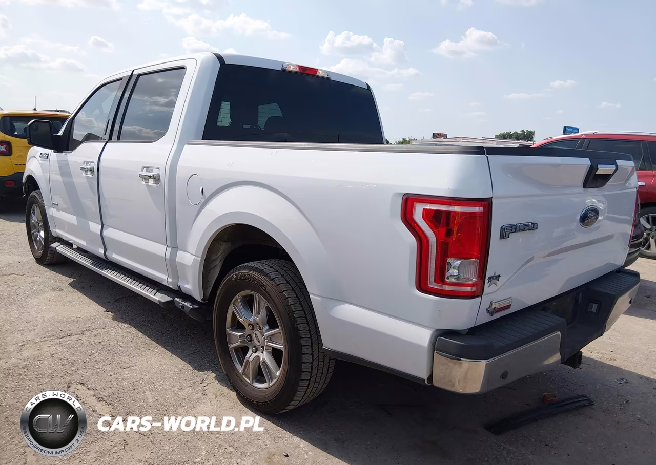2015 Ford F-150 Xlt VIN:1FTEW1CG8FKE38815 - 3