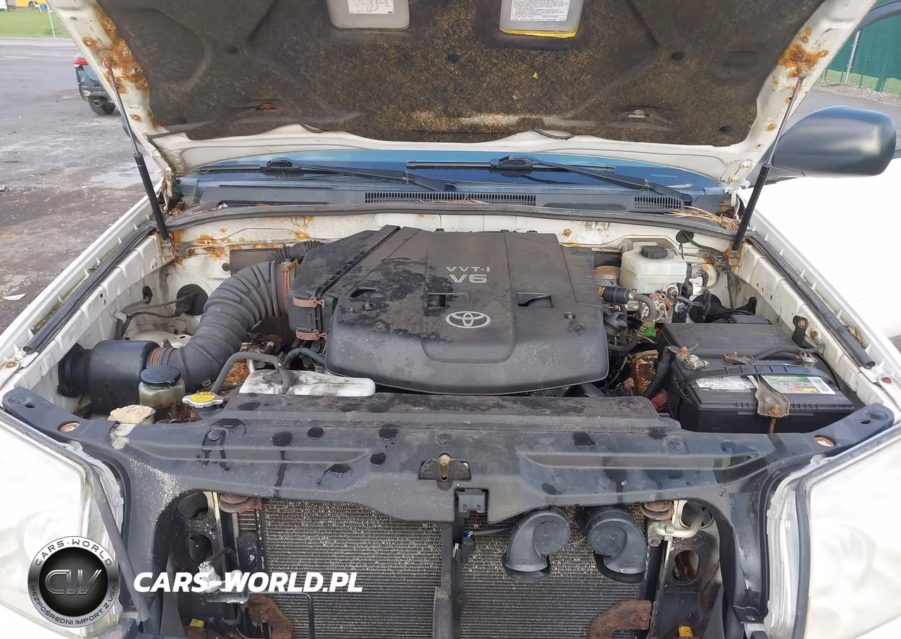 2004 Toyota 4Runner Sr5 V6 VIN:JTEBU14R640054996 - 10