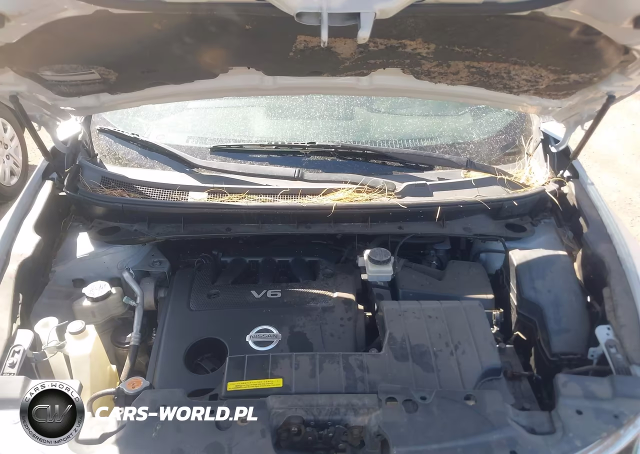 2010 Nissan Murano S VIN:JN8AZ1MU7AW011965 - 10