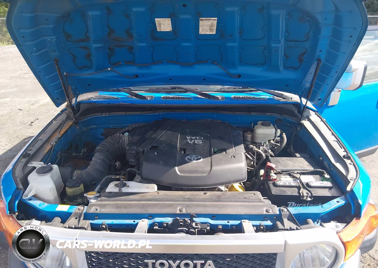 2007 Toyota Fj Cruiser VIN:JTEBU11FX70012281 - 10