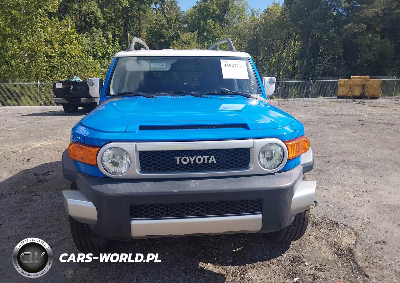2007 Toyota Fj Cruiser VIN:JTEBU11FX70012281 - 12