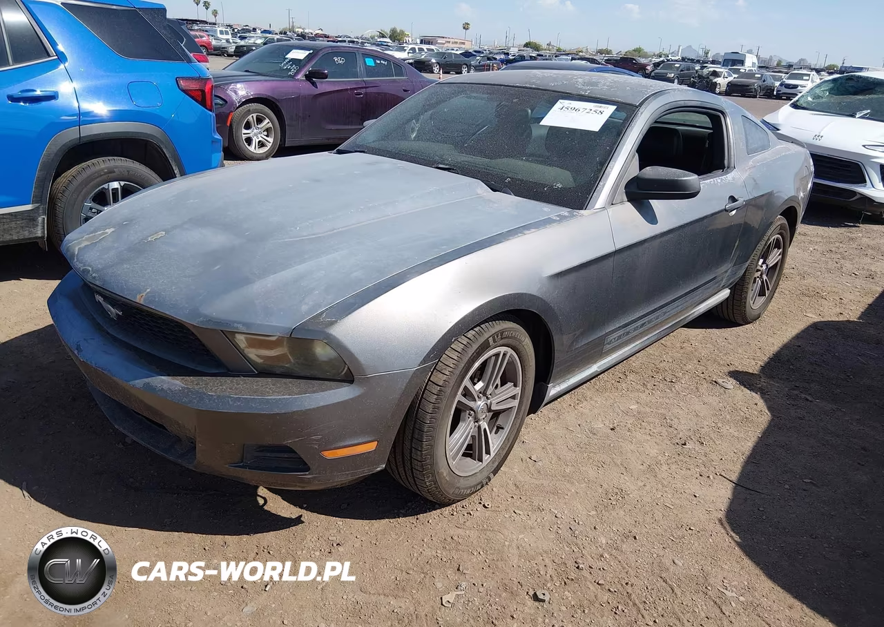 2010 Ford Mustang V6-V6 Premium VIN:1ZVBP8AN8A5126749 - 2
