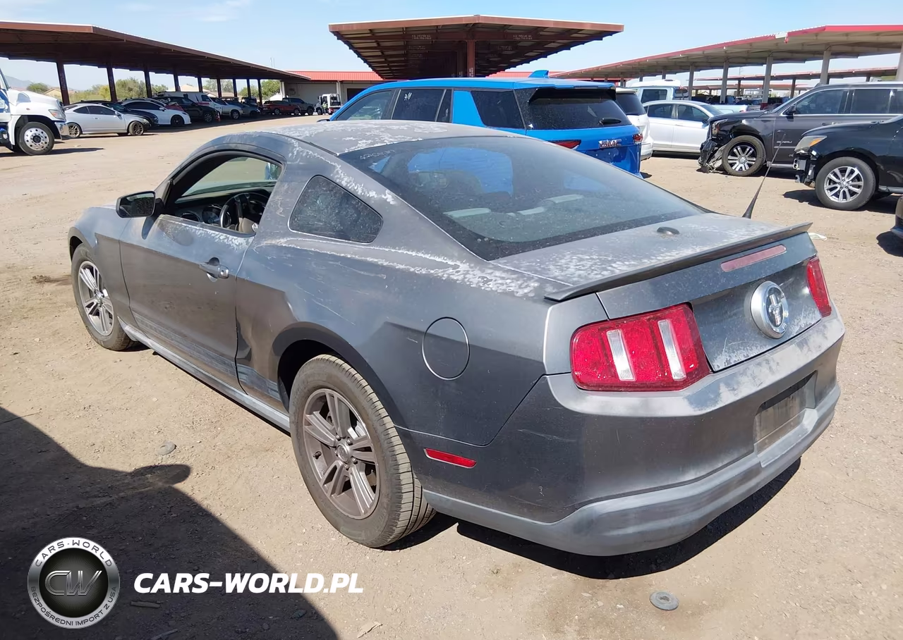 2010 Ford Mustang V6-V6 Premium VIN:1ZVBP8AN8A5126749 - 3