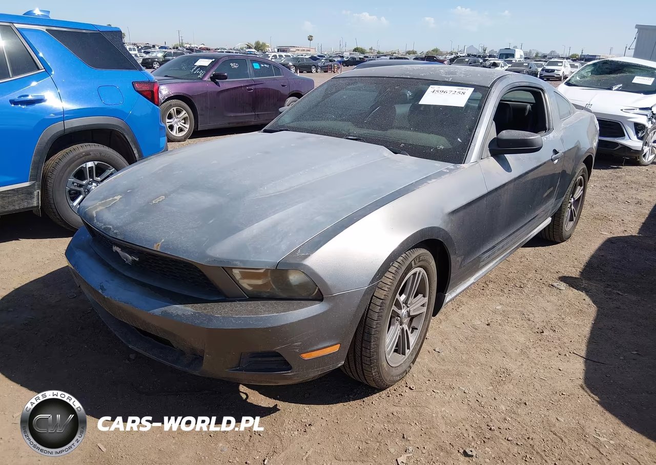 2010 Ford Mustang V6-V6 Premium VIN:1ZVBP8AN8A5126749 - 6
