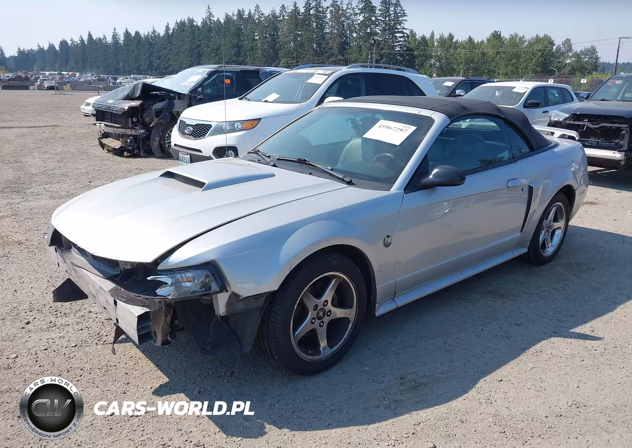 2004 Ford Mustang Gt VIN:1FAFP45X34F163236 - 2