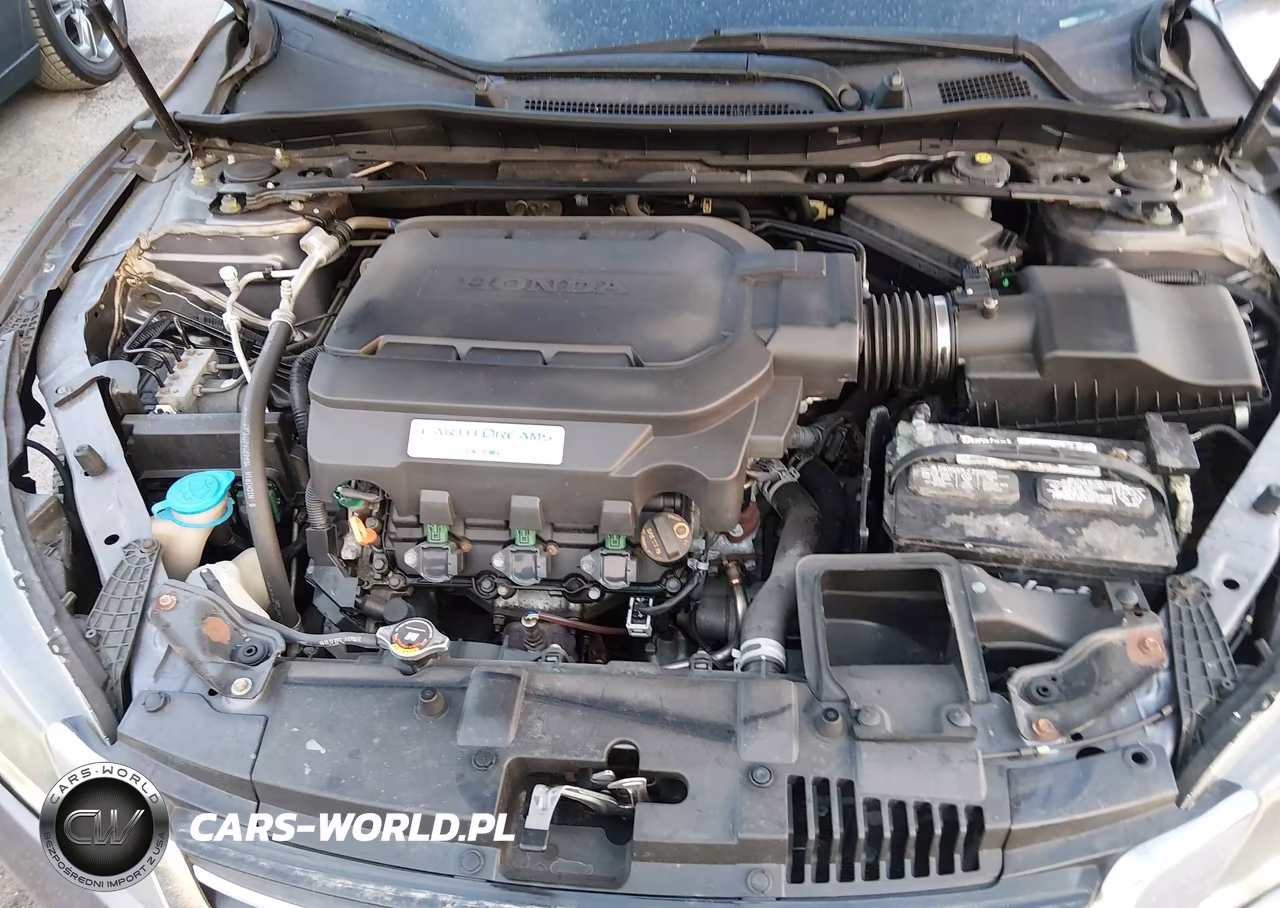 2014 Honda Accord Ex-L V-6 VIN:1HGCR3F89EA002138 - 10