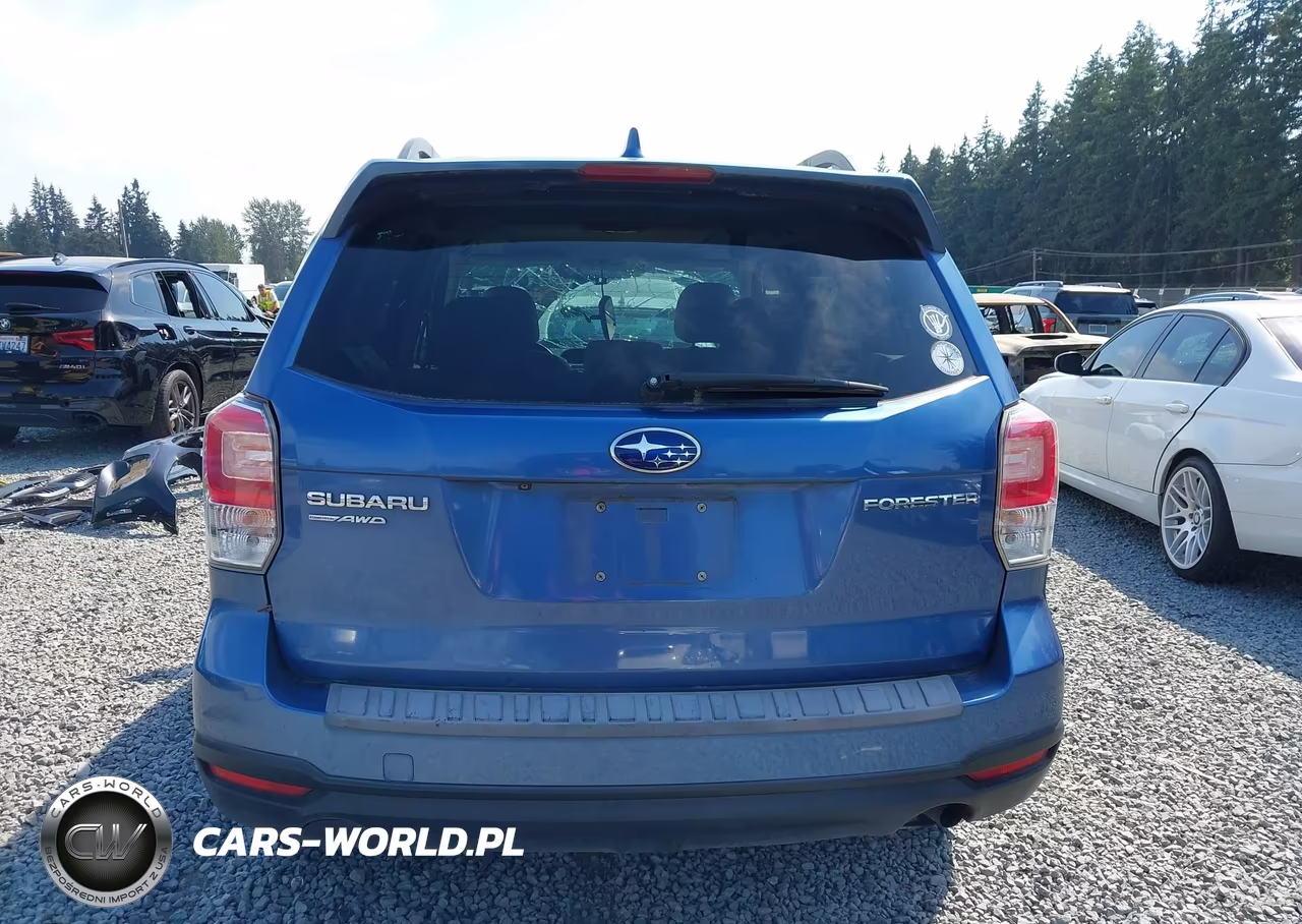 2018 Subaru Forester 2.5I Premium VIN:JF2SJAEC4JH402154 - 16