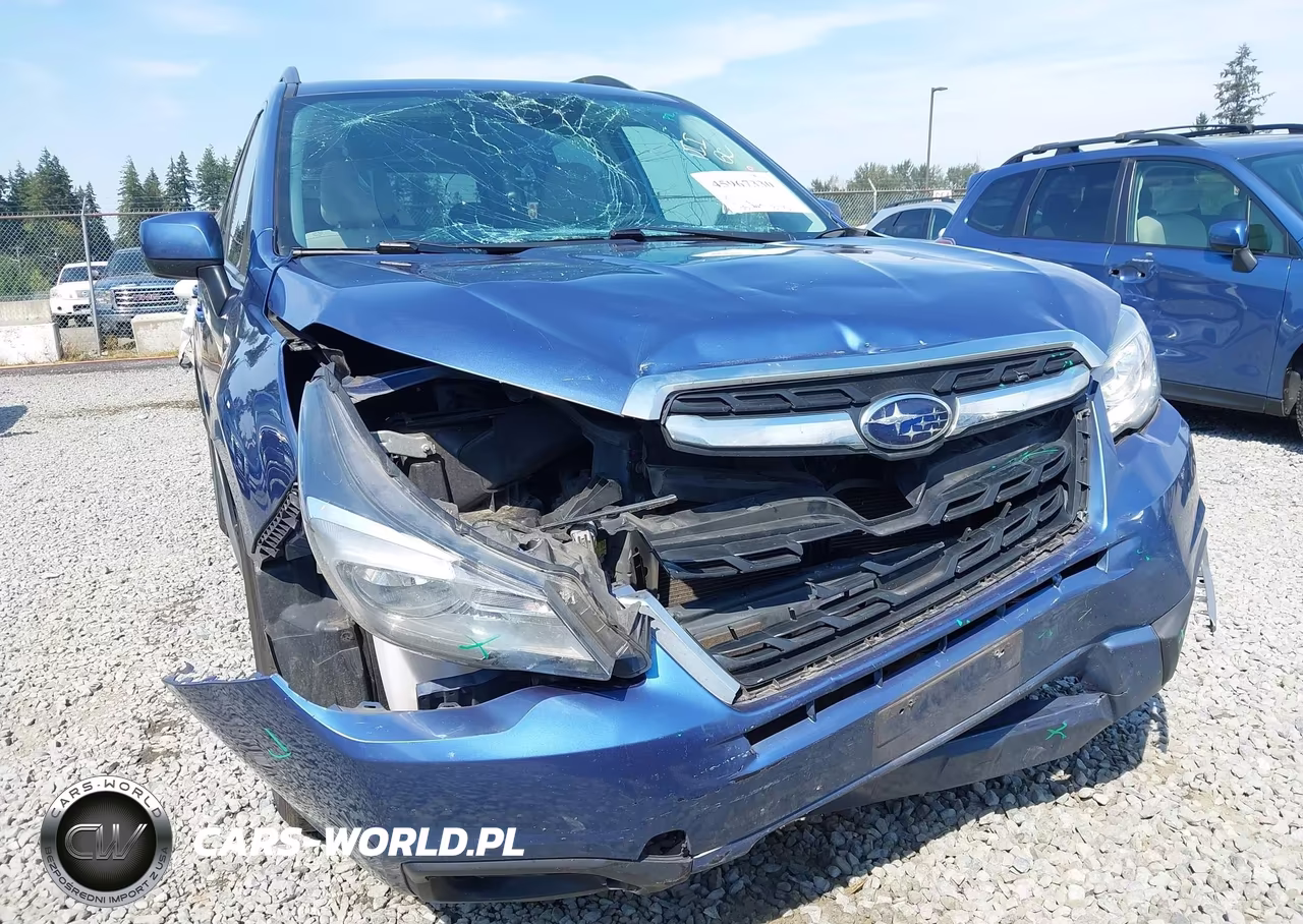 2018 Subaru Forester 2.5I Premium VIN:JF2SJAEC4JH402154 - 6