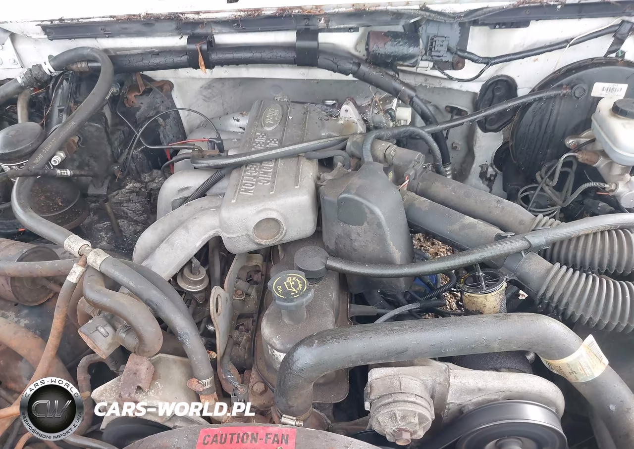 1993 Ford F150 VIN:1FTEX15Y0PKA91131 - 10