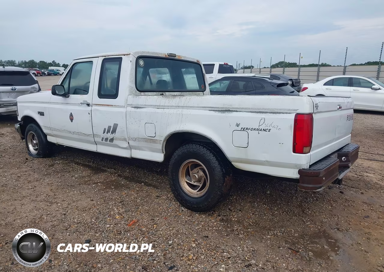 1993 Ford F150 VIN:1FTEX15Y0PKA91131 - 3