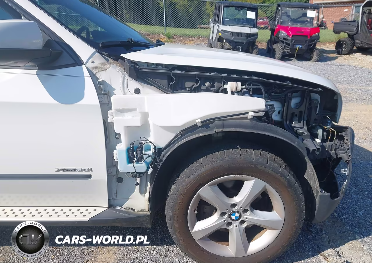 2010 BMW X5 xDrive30I VIN:5UXFE4C52AL277466 - 13