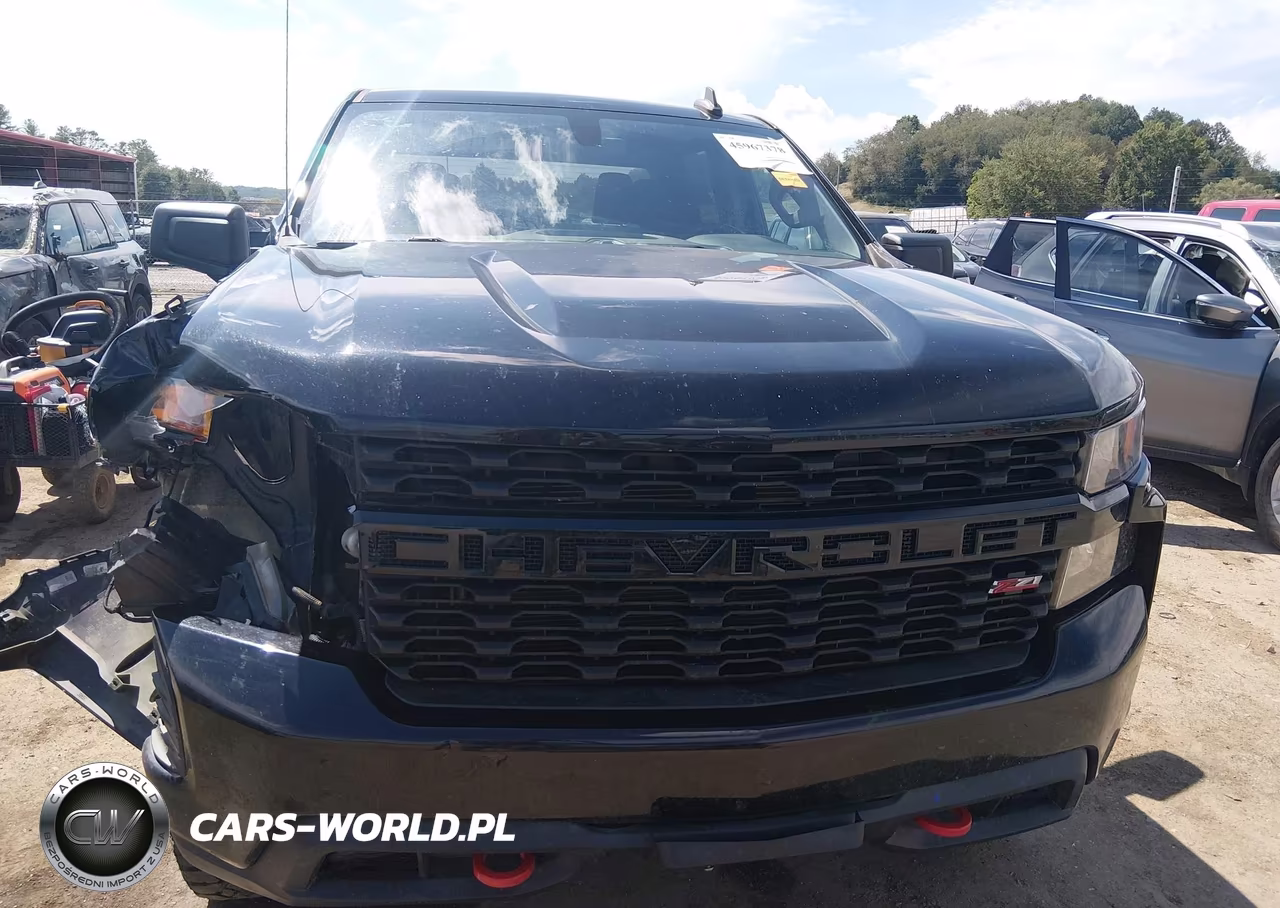 2019 Chevrolet Silverado 1500 Custom Trail Boss VIN:3GCPYCEF8KG145677 - 12