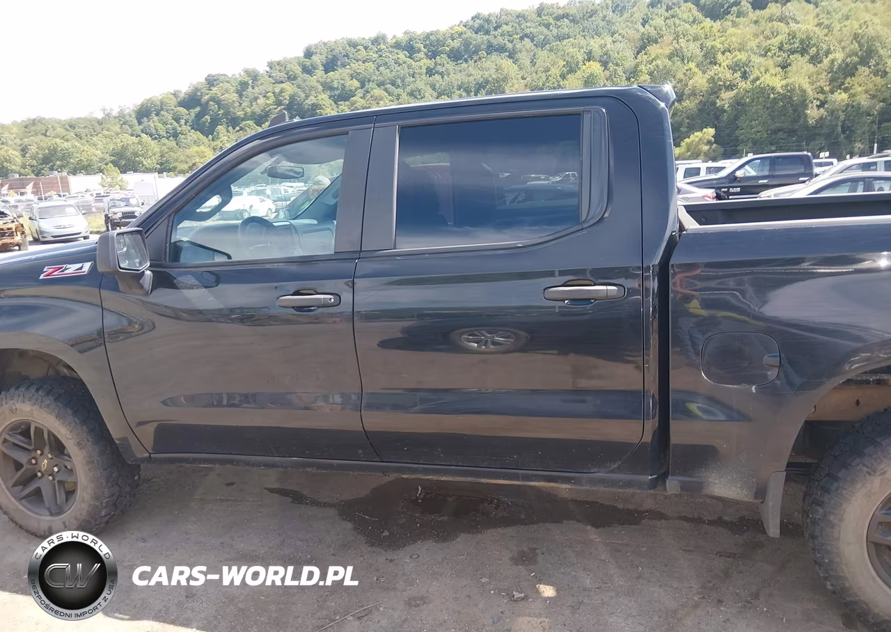 2019 Chevrolet Silverado 1500 Custom Trail Boss VIN:3GCPYCEF8KG145677 - 14