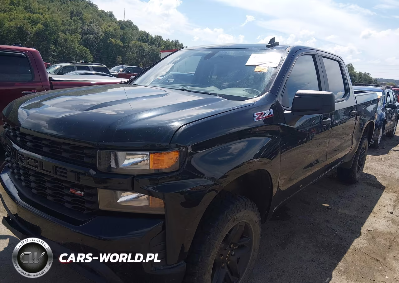 2019 Chevrolet Silverado 1500 Custom Trail Boss VIN:3GCPYCEF8KG145677 - 2