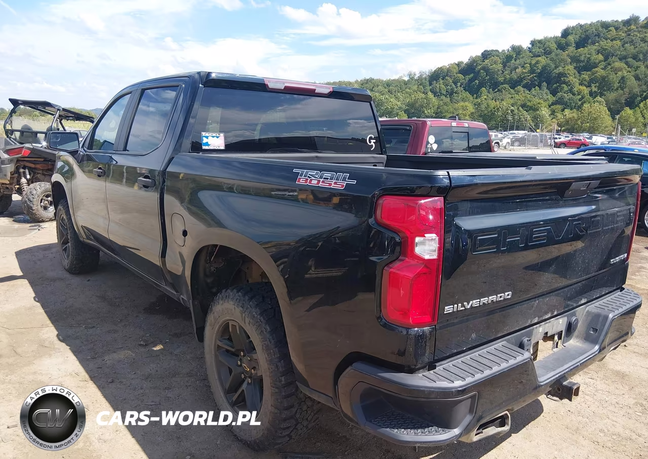 2019 Chevrolet Silverado 1500 Custom Trail Boss VIN:3GCPYCEF8KG145677 - 3