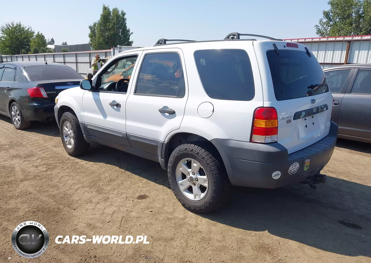 2007 Ford Escape Xlt VIN:1FMCU93Z97KC05939 - 3