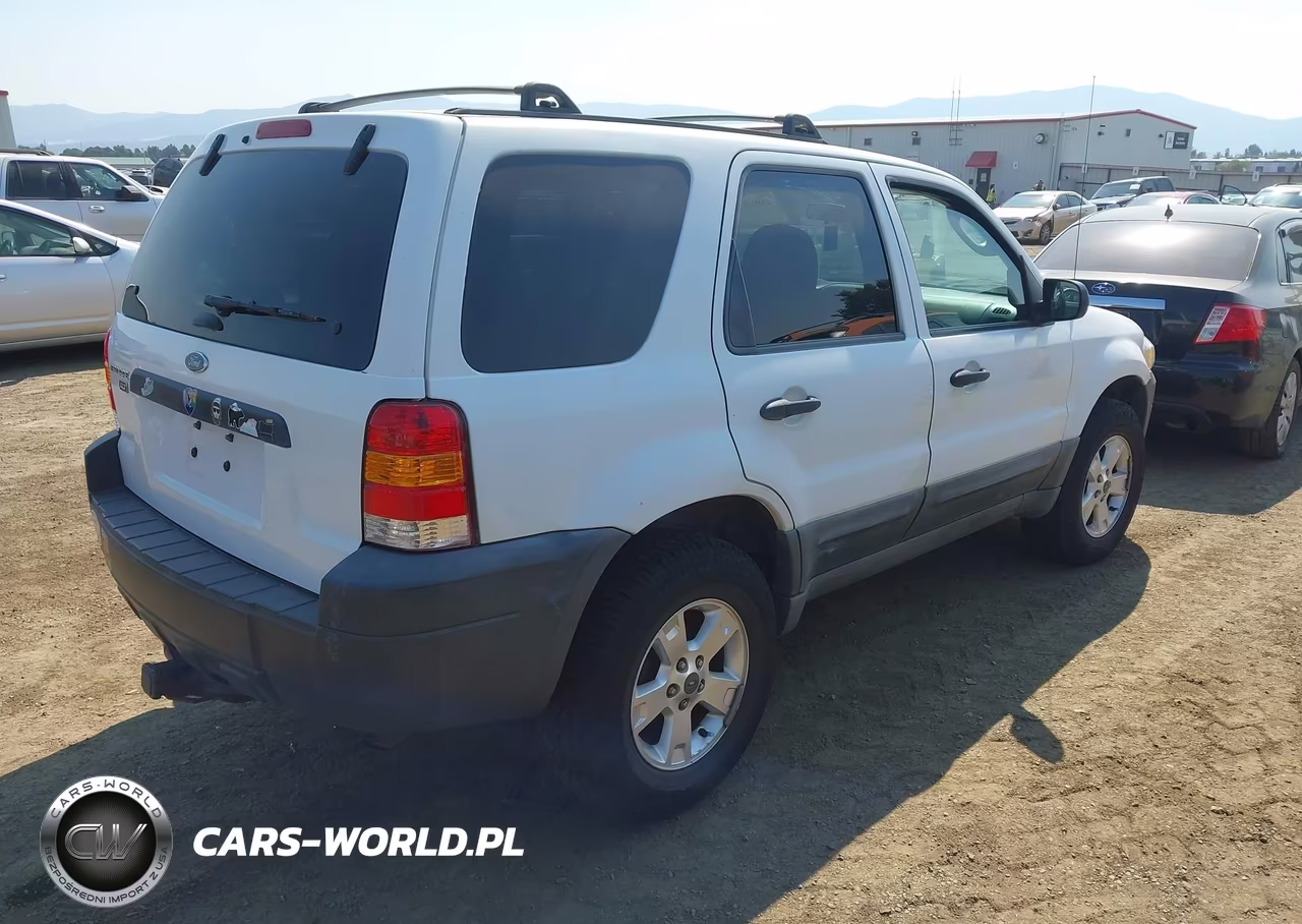 2007 Ford Escape Xlt VIN:1FMCU93Z97KC05939 - 4