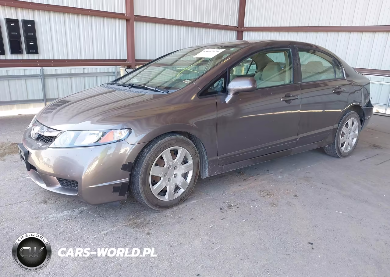 2009 Honda Civic Lx VIN:19XFA16569E036828 - 2