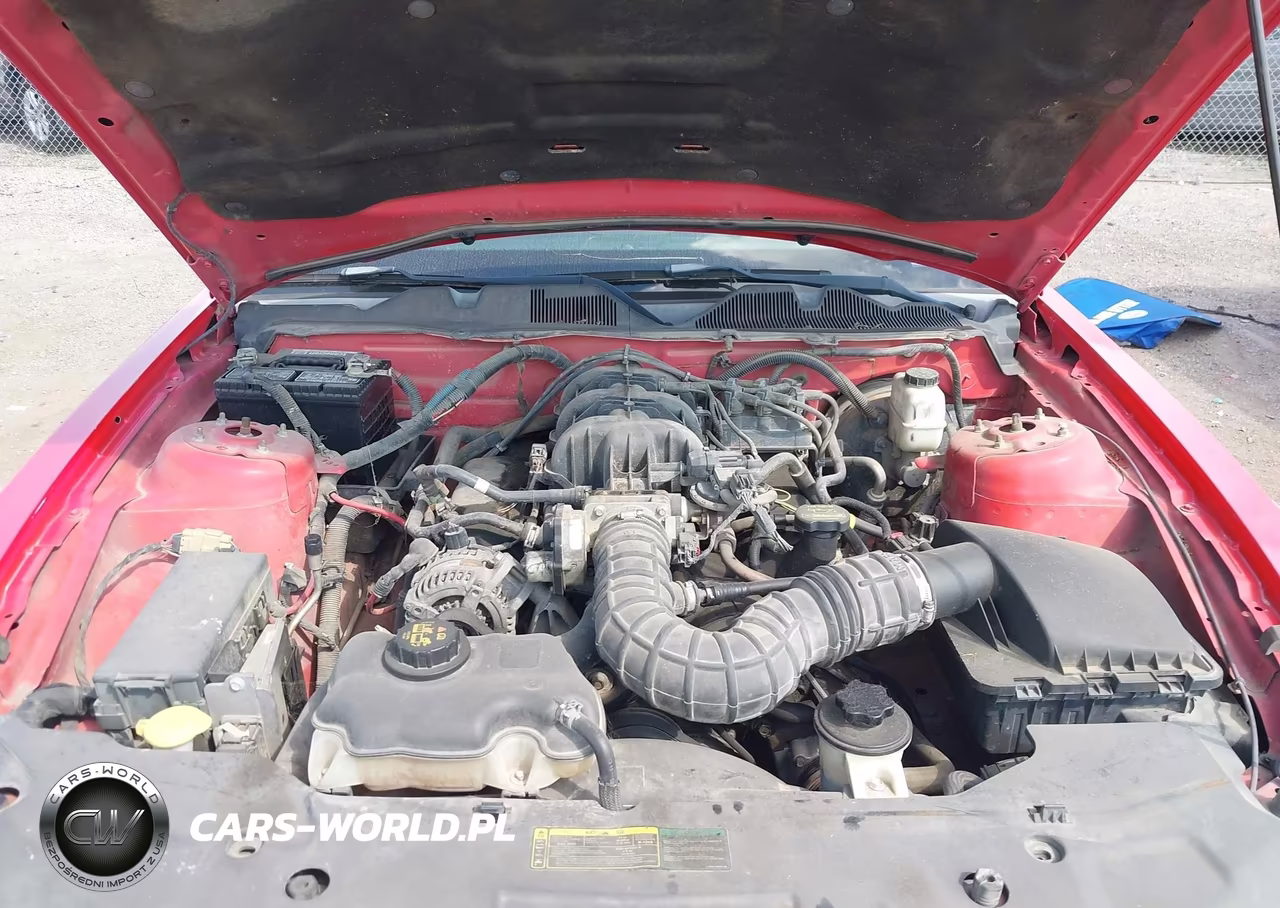 2010 Ford Mustang V6 VIN:1ZVBP8AN3A5127954 - 10