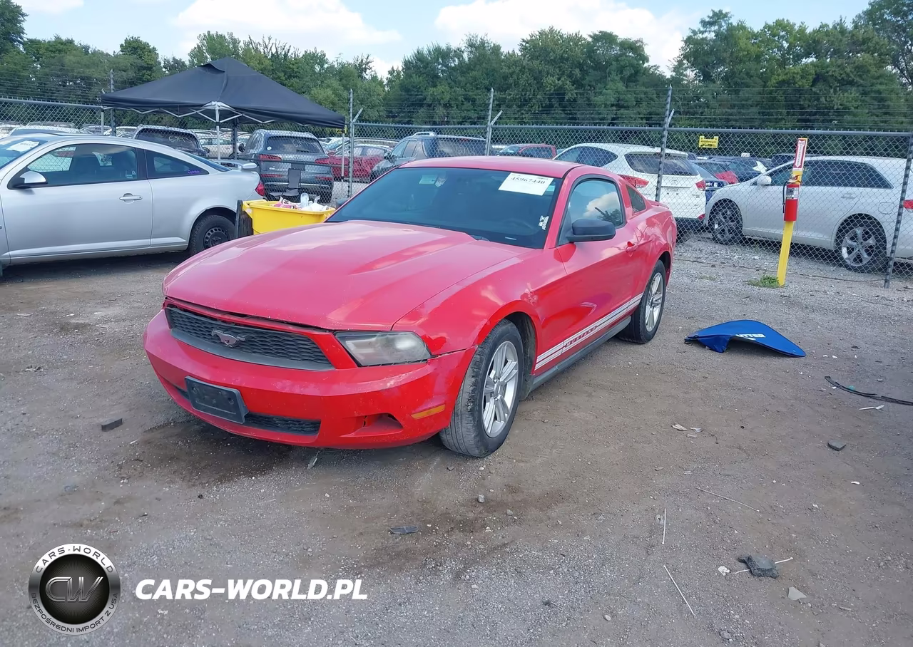 2010 Ford Mustang V6 VIN:1ZVBP8AN3A5127954 - 2