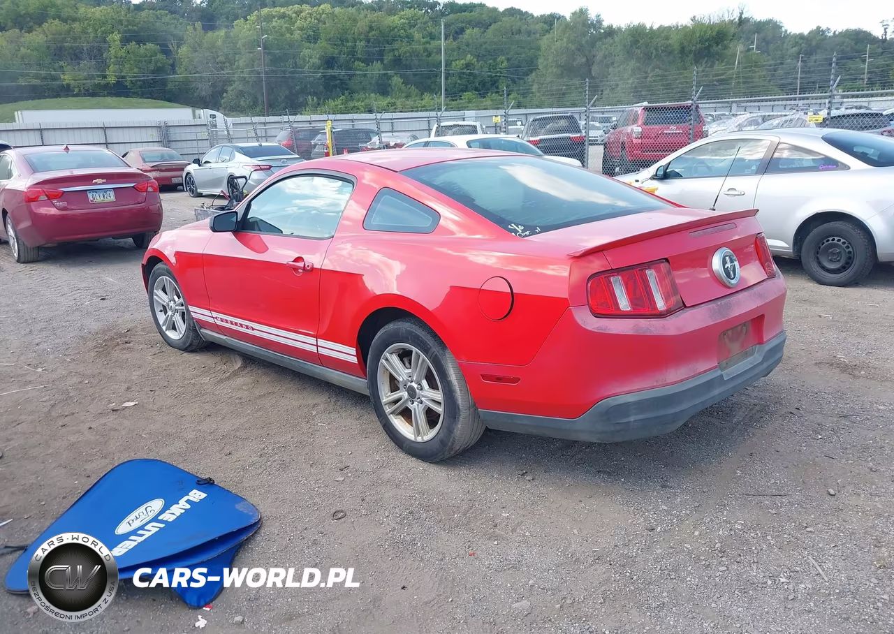 2010 Ford Mustang V6 VIN:1ZVBP8AN3A5127954 - 3