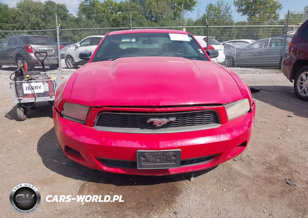 2010 Ford Mustang V6 VIN:1ZVBP8AN3A5127954 - 6