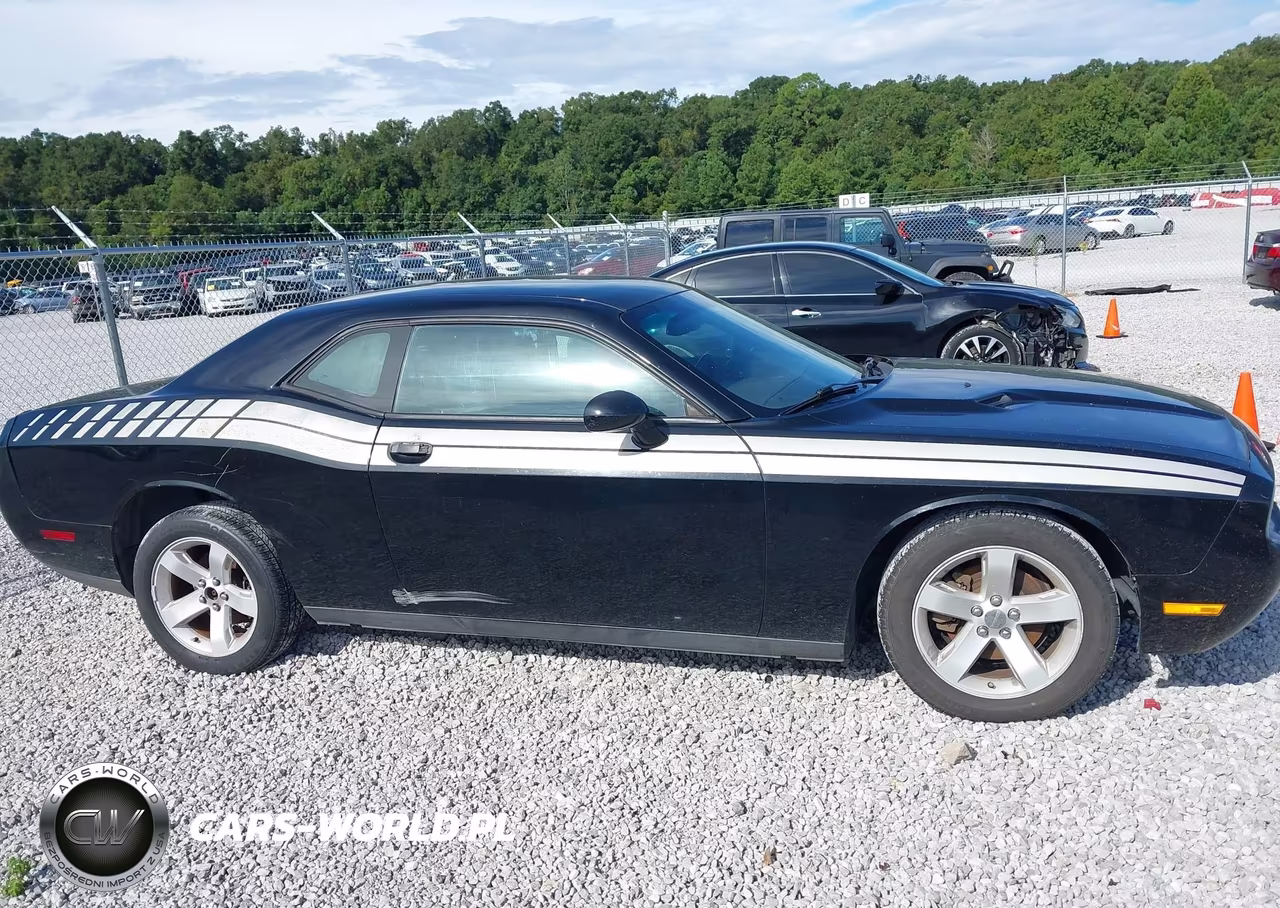 2014 Dodge Challenger Sxt VIN:2C3CDYAG7EH111714 - 12