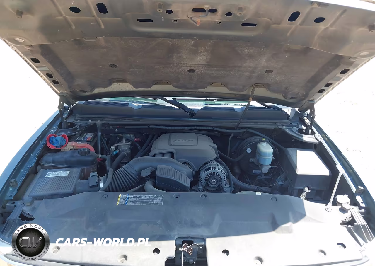 2009 Chevrolet Silverado 1500 Lt VIN:1GCEC29C19Z155445 - 10
