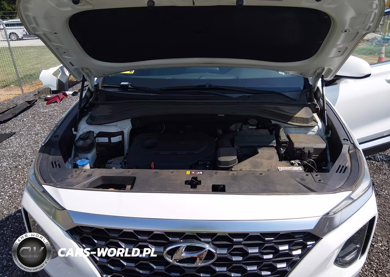2019 Hyundai Santa Fe Sel VIN:5NMS33AD6KH092527 - 10