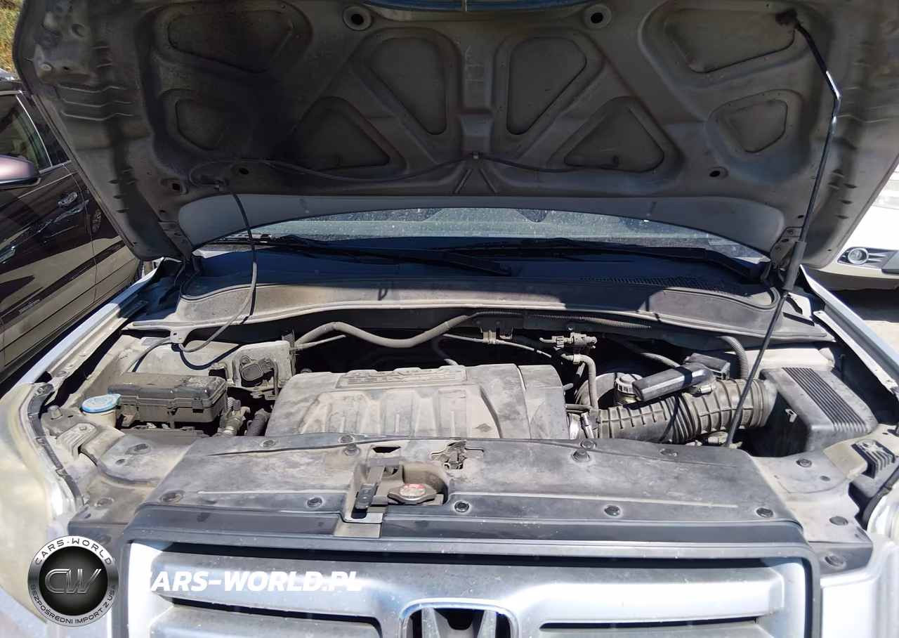 2006 Honda Pilot Ex-L VIN:5FNYF28576B042558 - 10