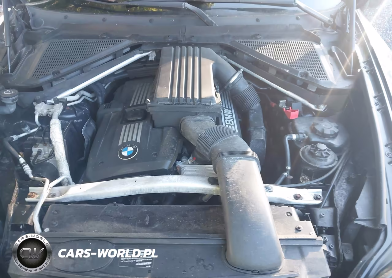 2009 BMW X5 xDrive30I VIN:5UXFE43539L264589 - 10