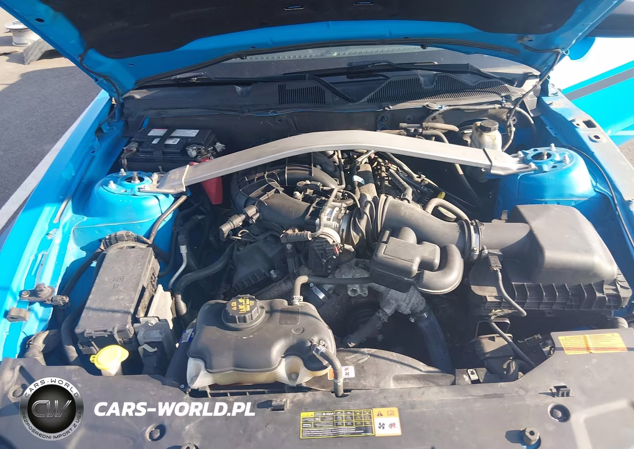 2011 Ford Mustang V6 Premium VIN:1ZVBP8EM4B5144782 - 8